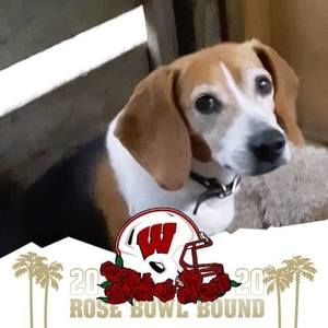 Meet your Posher, Kaleb